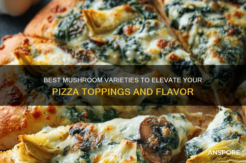 what mushrooms are good for pizza