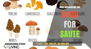 Best Mushrooms for Sautéing: Flavorful Varieties to Elevate Your Dishes