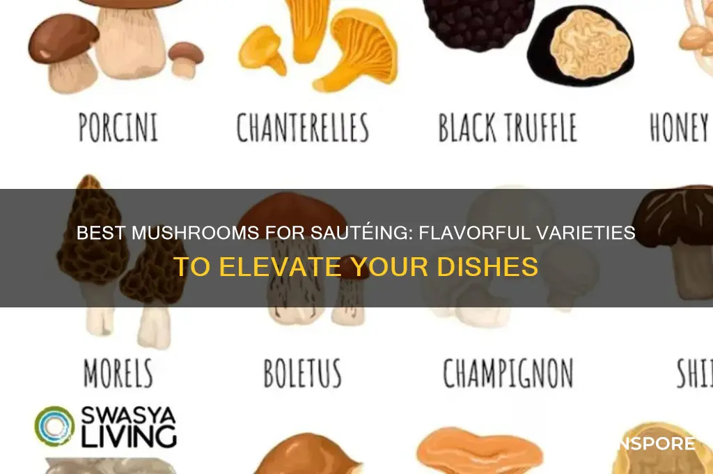 what mushrooms are good for saute