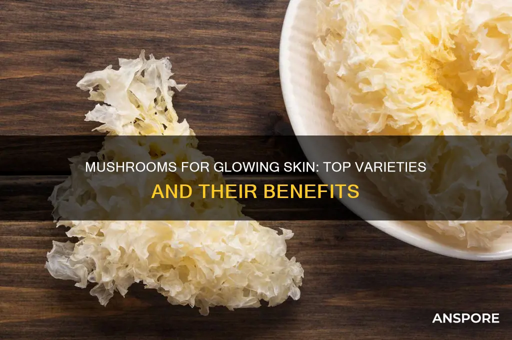 what mushrooms are good for skin