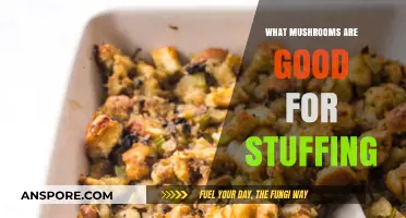 Best Mushrooms for Stuffing: Delicious Varieties to Elevate Your Recipes