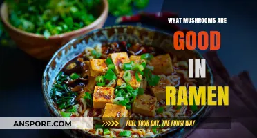 Best Mushrooms for Ramen: Elevate Your Bowl with Umami Flavors