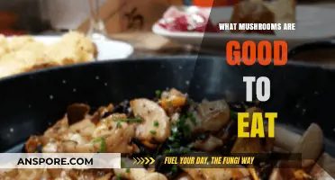 Delicious and Safe: A Guide to Edible Mushrooms for Foodies