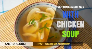 Enhance Your Chicken Soup with These Delicious Mushroom Varieties