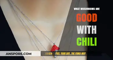 Best Mushrooms to Elevate Your Chili: Flavorful and Hearty Combinations