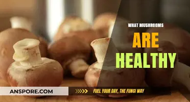 Mushroom Superpowers: Healthy Varieties to Know and Eat