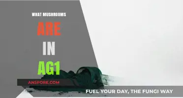 Mushroom Mystery: What's in AG1?