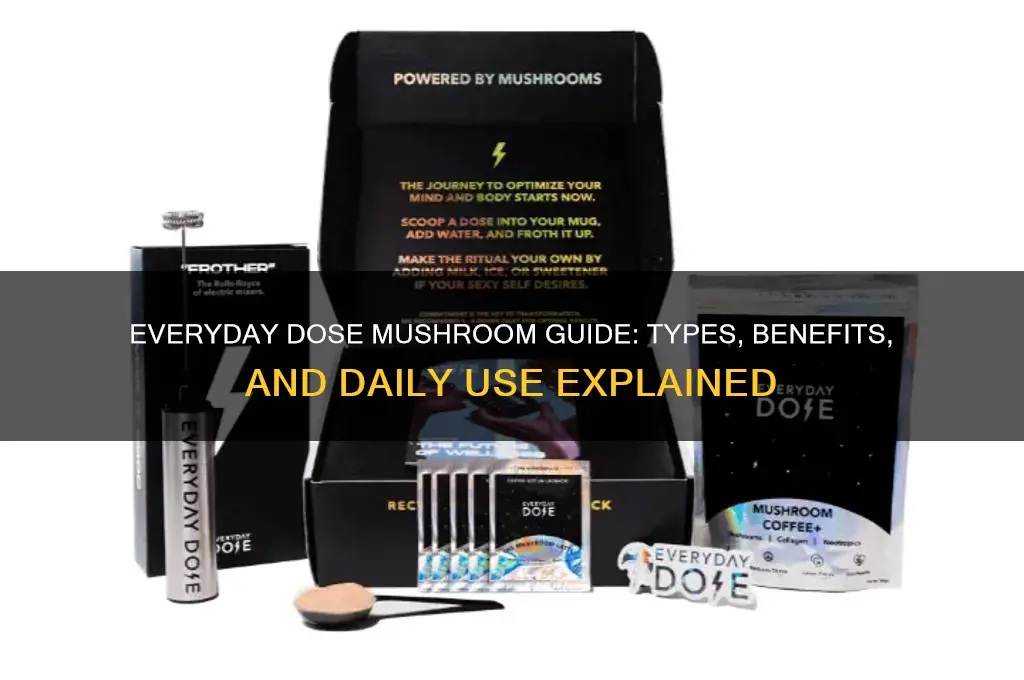 what mushrooms are in everyday dose