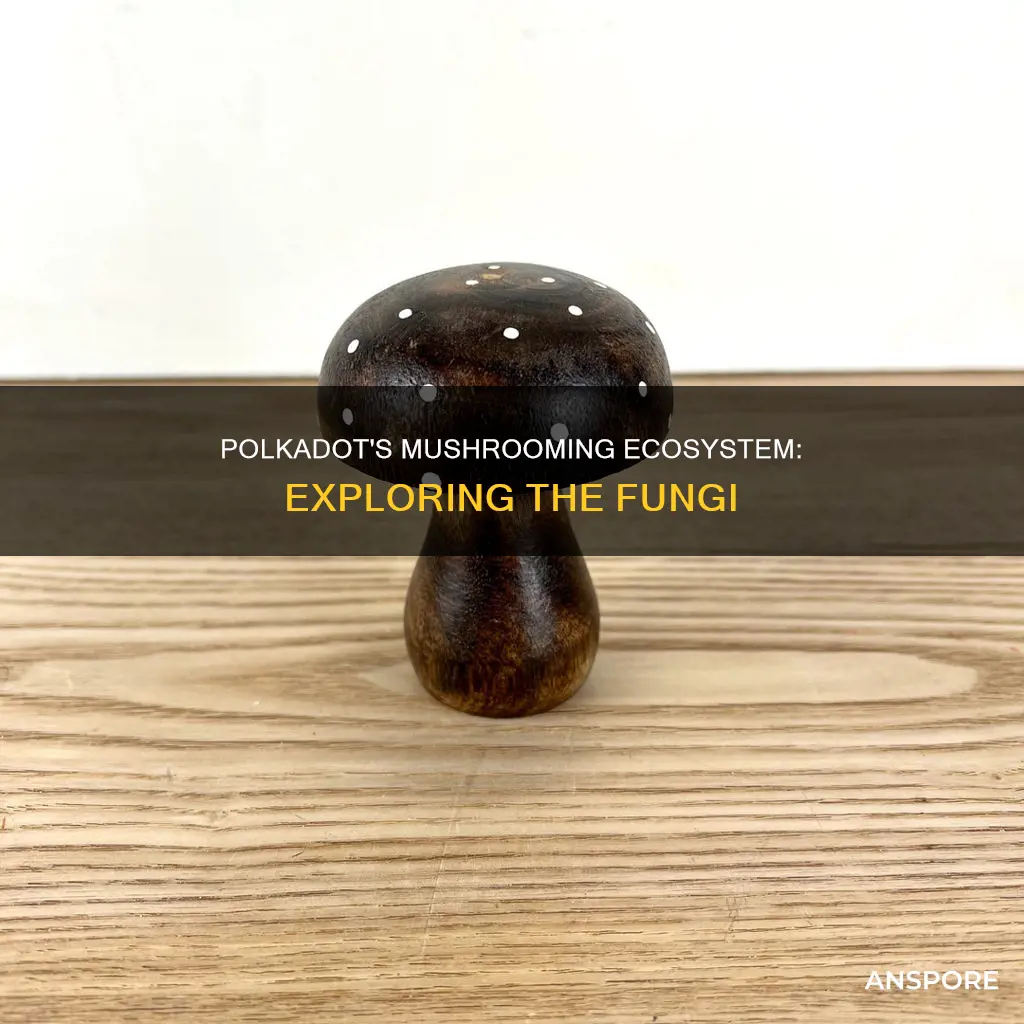 what mushrooms are in polkadot