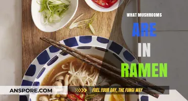 Mushroom Magic: What Fungi Goes in Ramen?
