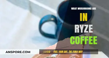 Discover the Unique Mushroom Blend in Ryze Coffee's Recipe