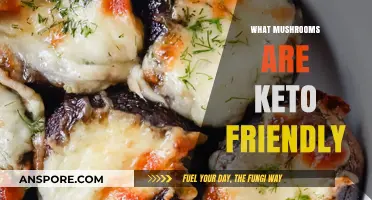 Mushroom Magic: Keto-Friendly Fungi Options