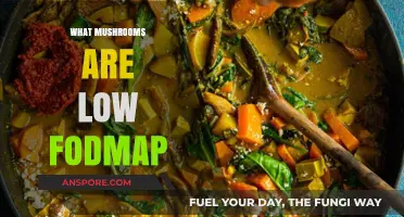 Smart Guide to Low-FODMAP Mushrooms