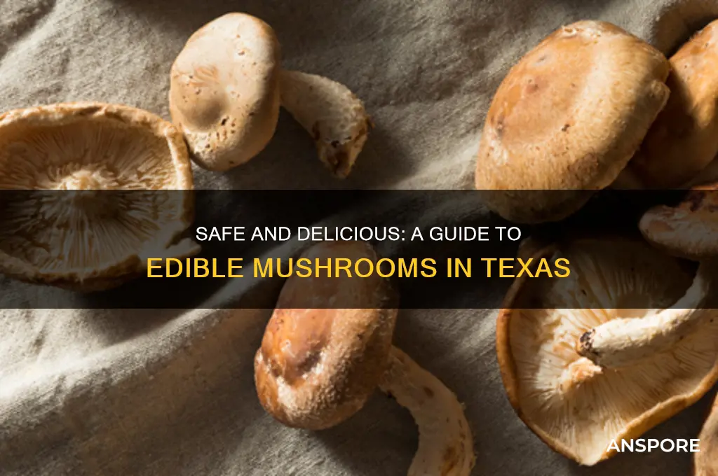 what mushrooms are safe to eat in texas