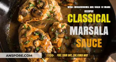 Classic Marsala Sauce: The Essential Mushroom Varieties You Need
