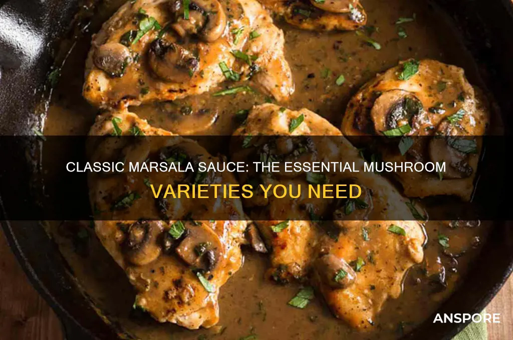 what mushrooms are used to make recipoe classical marsala sauce