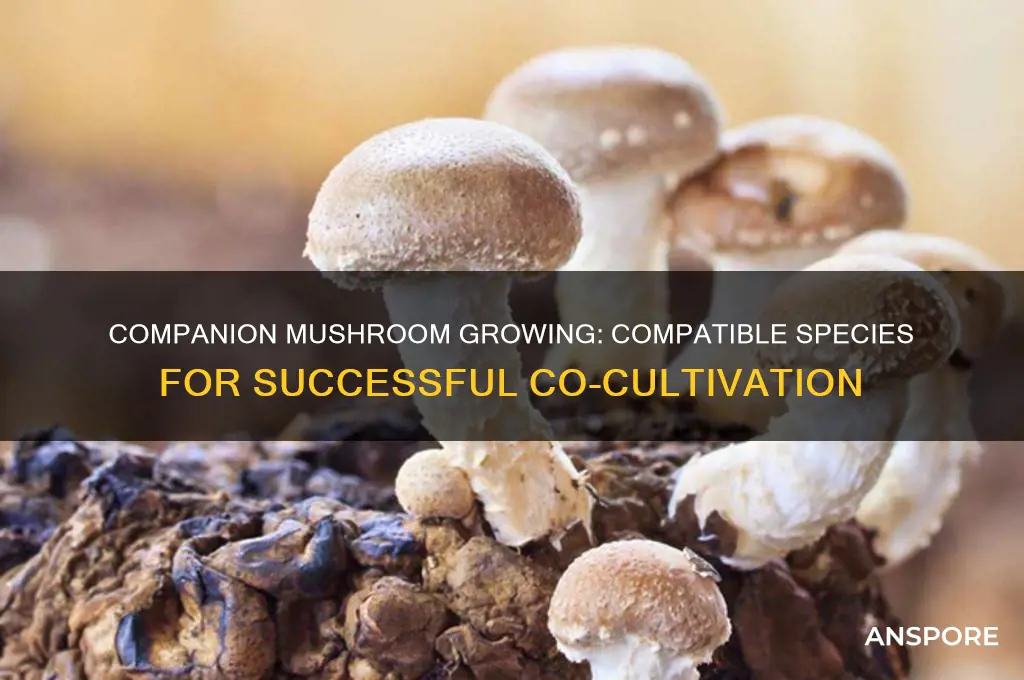 what mushrooms can be grow together
