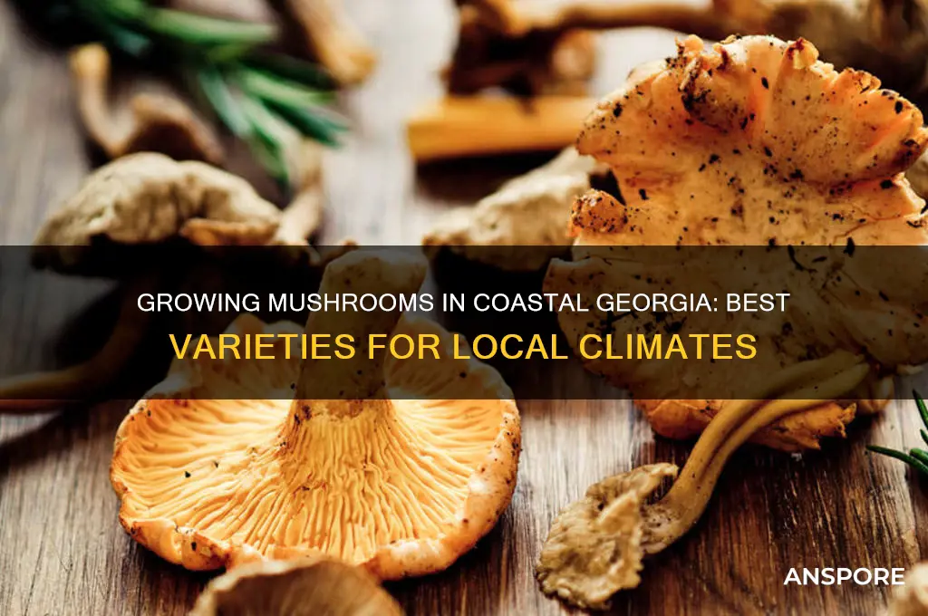 what mushrooms can be grown in coastal georgia