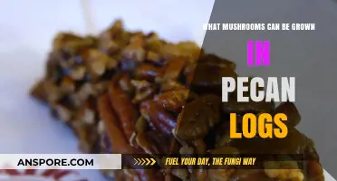 Growing Gourmet Mushrooms in Pecan Logs: Varieties and Tips