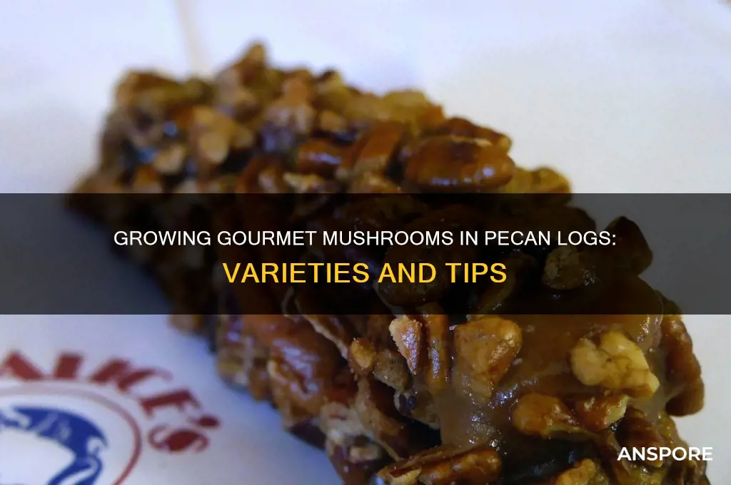 what mushrooms can be grown in pecan logs