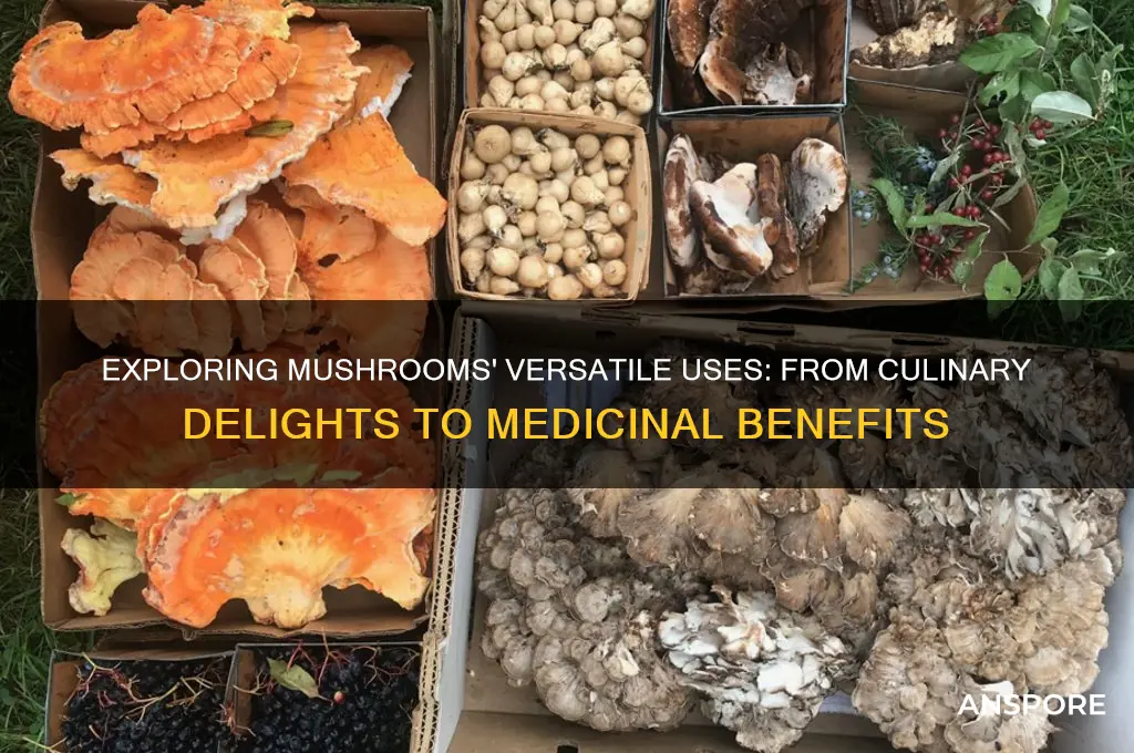 what mushrooms can be input for