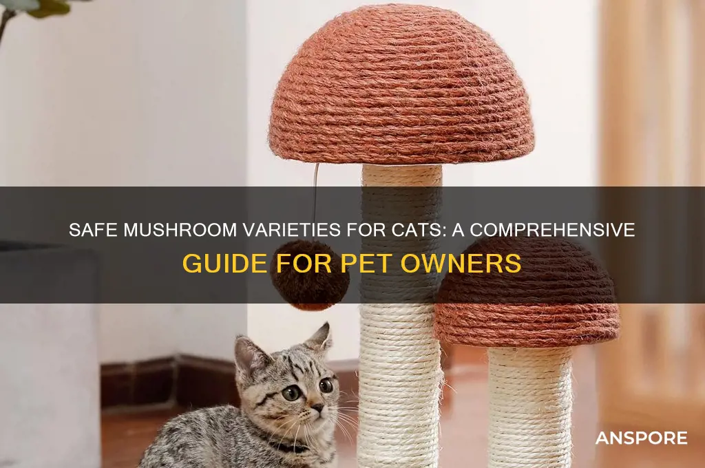 what mushrooms can cats eat