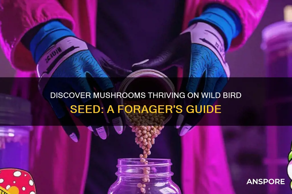 what mushrooms can grow on wild bird seed