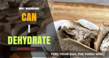 Dehydrating Mushrooms: A Guide to the Best Varieties for Preservation