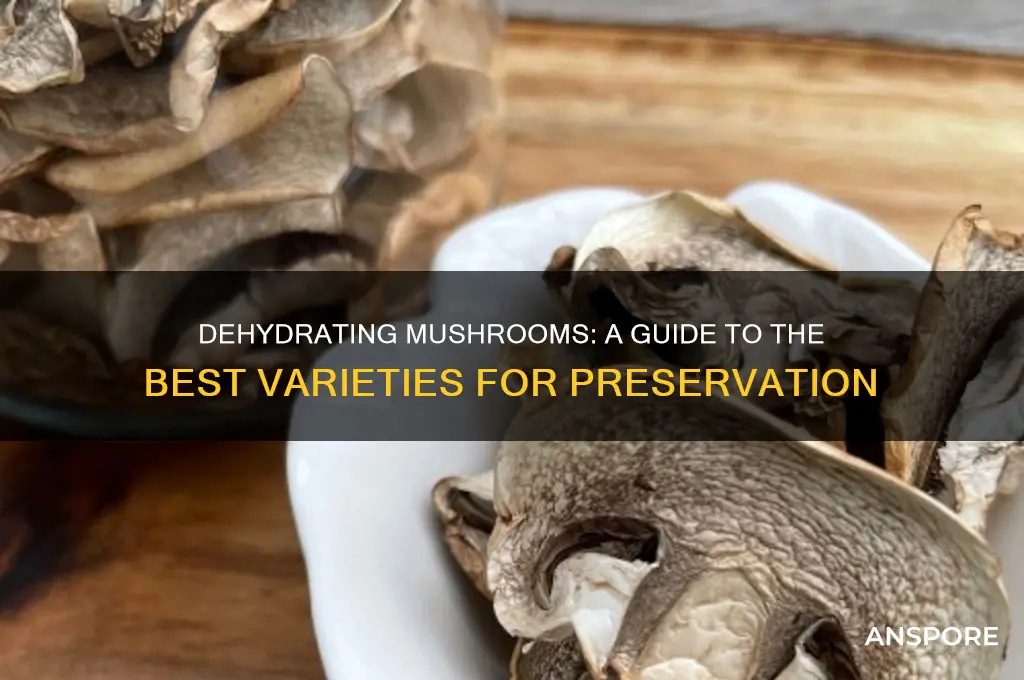 what mushrooms can i dehydrate