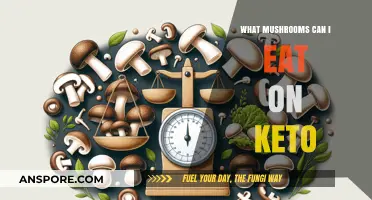 Keto-Friendly Mushrooms: Delicious Low-Carb Options for Your Diet