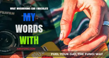 Inoculate Your Words: Mushrooms to Enhance Language and Creativity