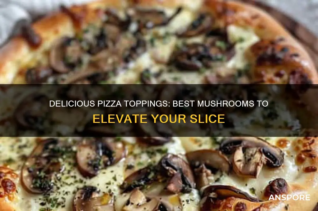 what mushrooms can u put on pizza