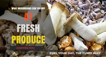 Discover Fresh Produce: Top Edible Mushrooms to Buy Today