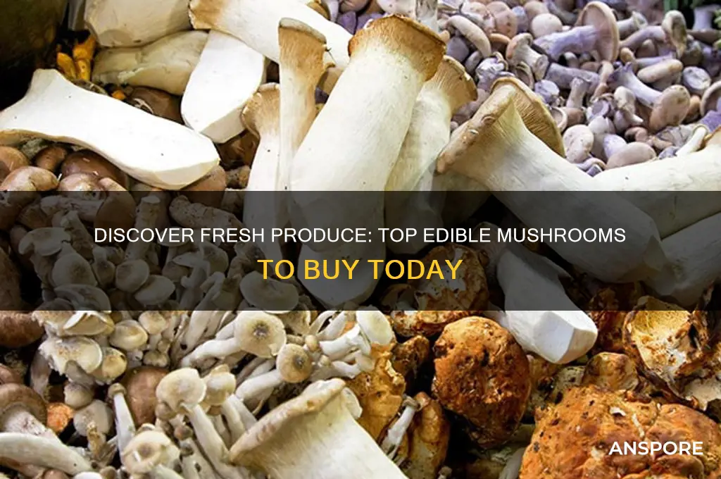what mushrooms can you buy at fresh produce