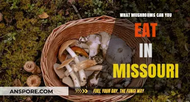 Missouri's Edible Mushrooms: A Guide to Safe and Delicious Foraging