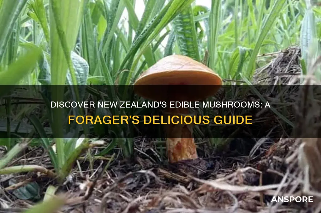 what mushrooms can you eat in new zealand