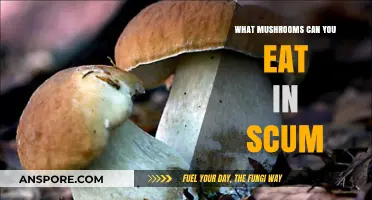 Edible Mushrooms in SCUM: Safe-to-Eat Varieties for Survival