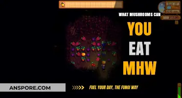 Edible Mushrooms in Monster Hunter World: A Tasty Guide
