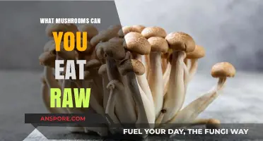 Safe and Delicious: Exploring Mushrooms You Can Eat Raw