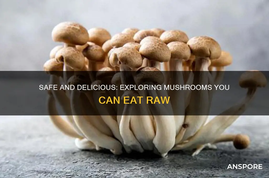what mushrooms can you eat raw
