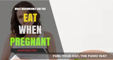 Safe Mushroom Choices for Pregnant Women: A Healthy Eating Guide