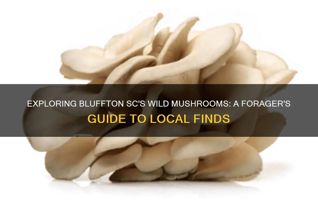 what mushrooms can you find in bluffton sc