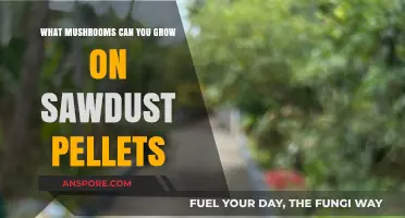 Growing Mushrooms on Sawdust Pellets: A Beginner's Guide to Varieties