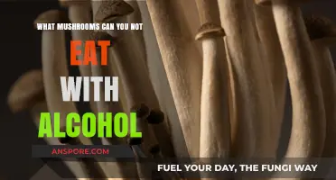 Avoid These Mushrooms: Alcohol Interactions and Toxic Risks Explained