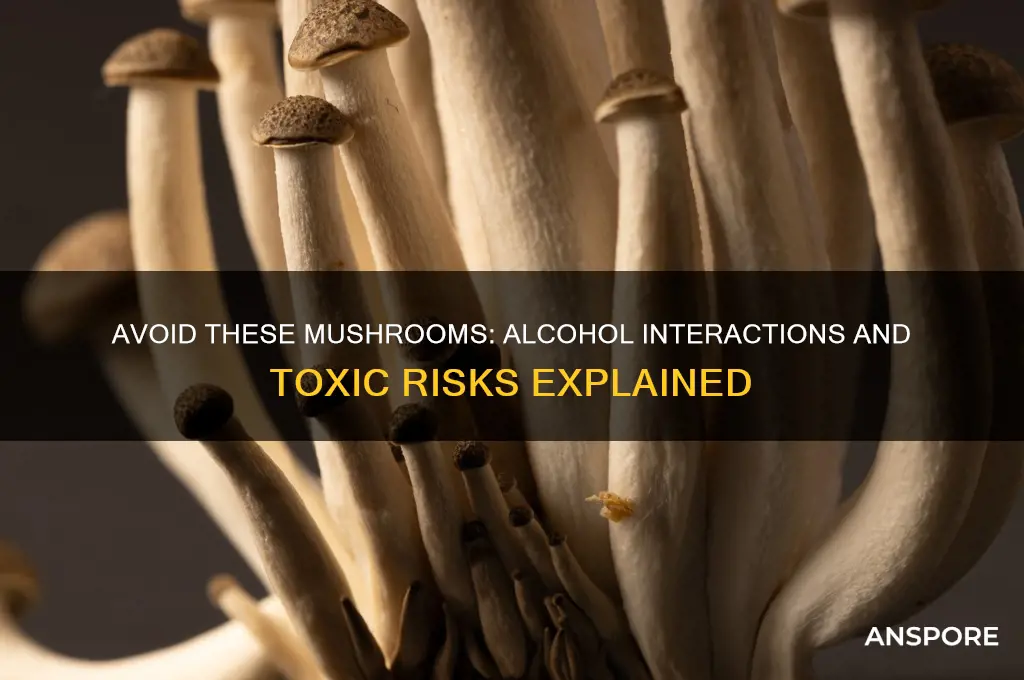 what mushrooms can you not eat with alcohol