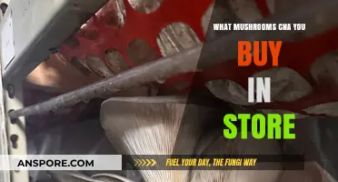 Discover the Best Store-Bought Mushrooms for Your Culinary Adventures