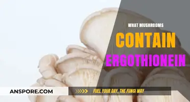 Mushrooms Rich in Ergothioneine: A Guide