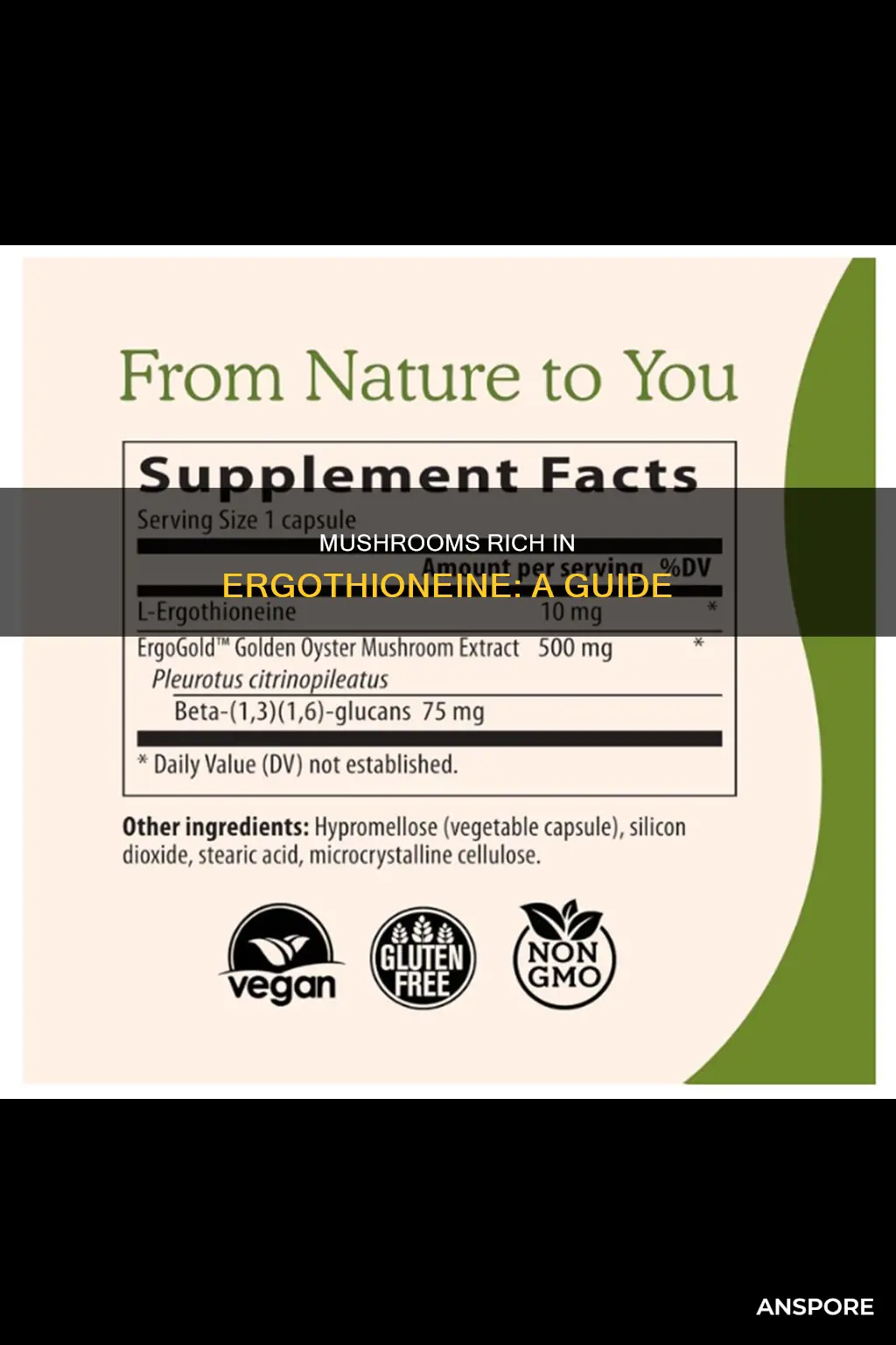 what mushrooms contain ergothioneine