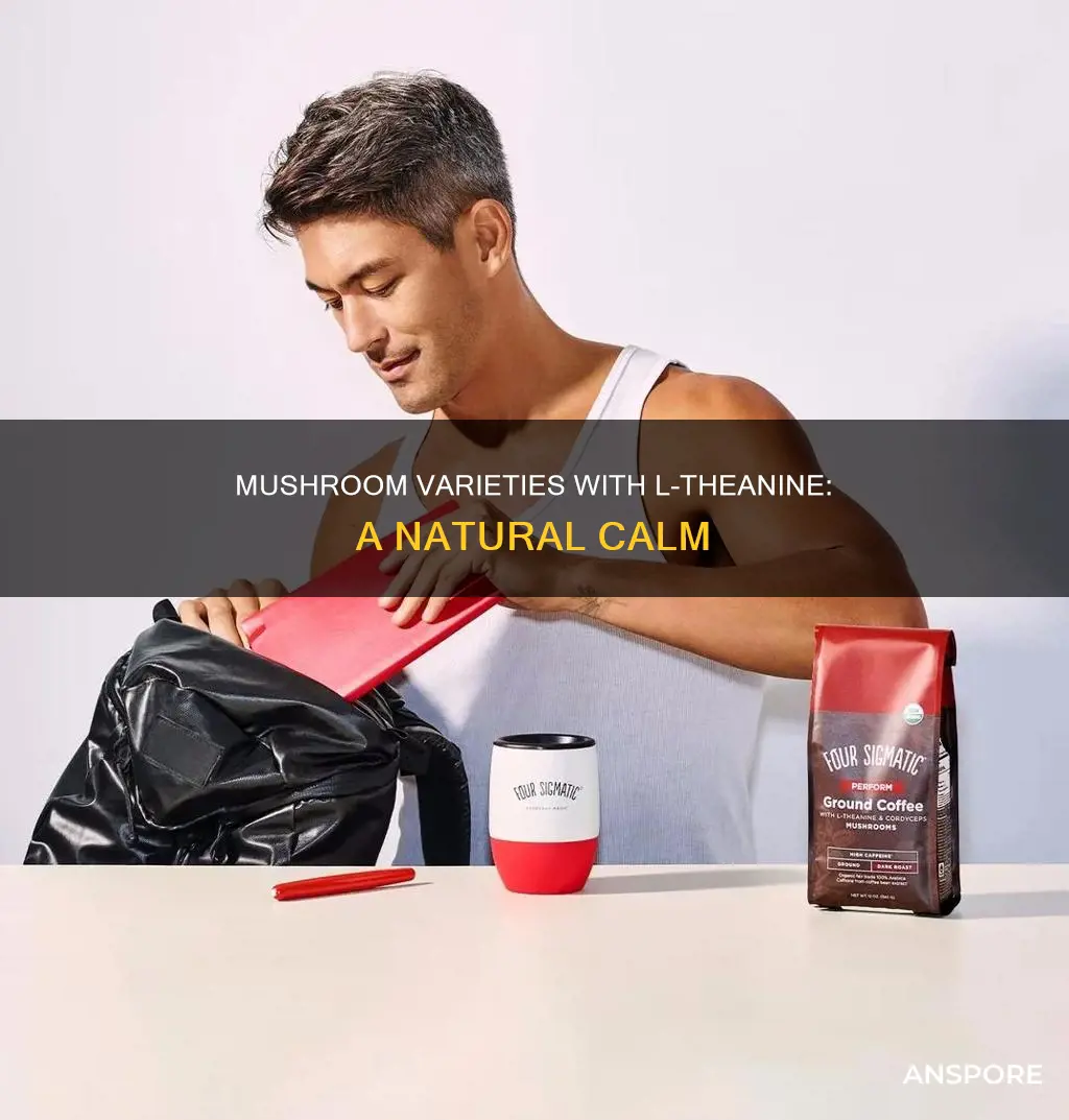 what mushrooms contain l-theanine