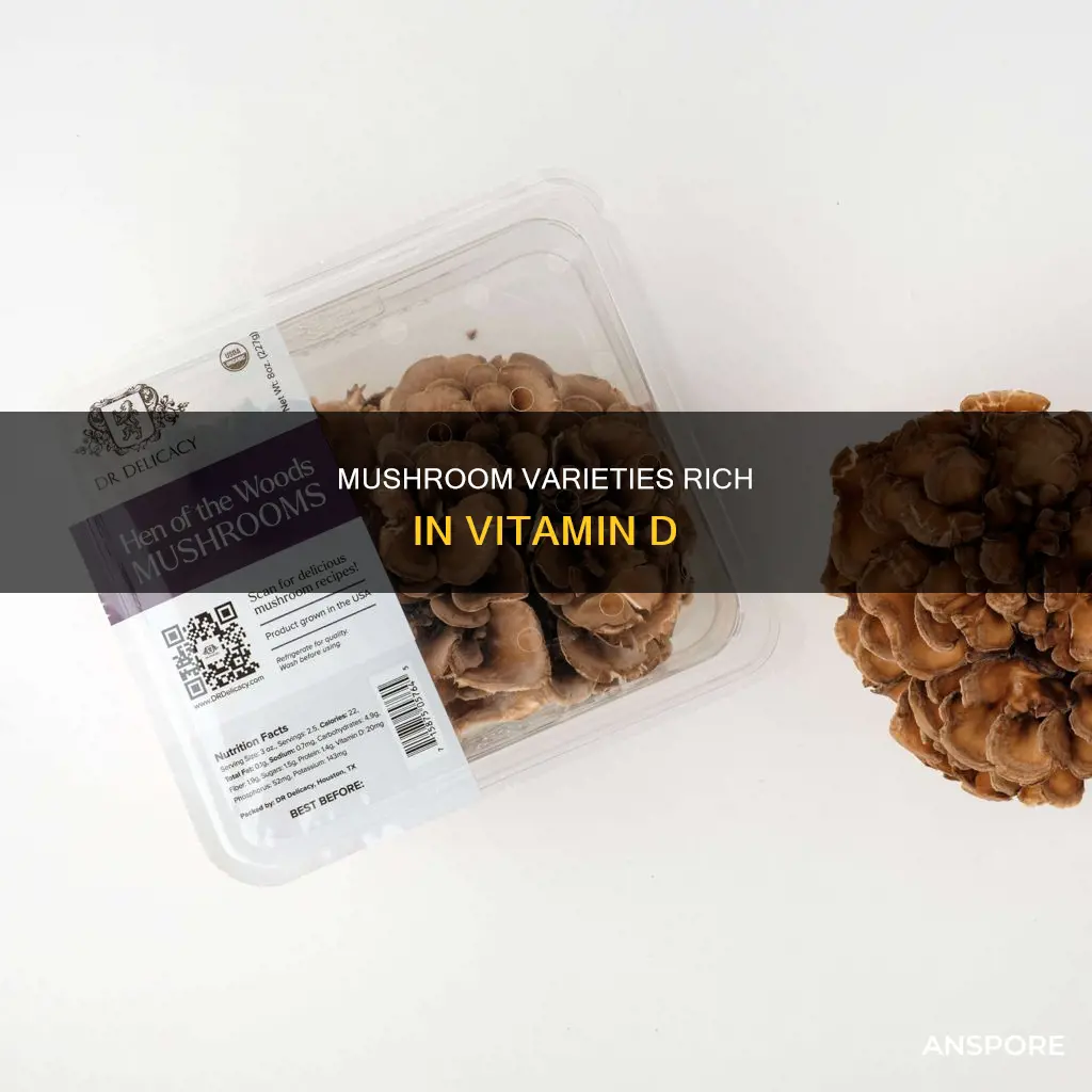 what mushrooms contain vitamin d